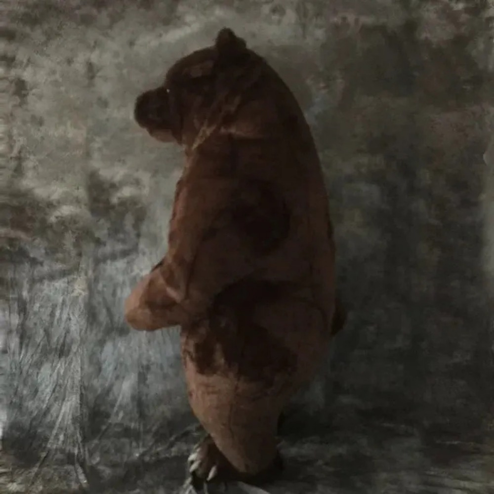 Disfraz de oso pardo inflable, - Costumes reseña y precio